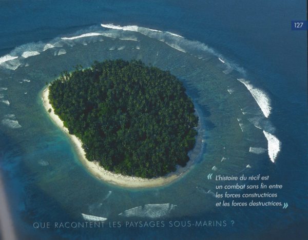 Photo du livre Rencontres Sauvages Observations sous-marine François SARANO