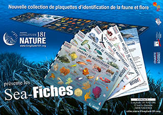 4 Sea-fiches plaquettes d'identification de la faune et flore - Longitude 181