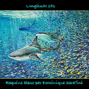 Poster de requins bleus par Dominique Serafini