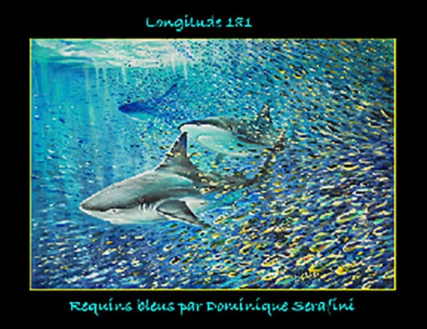 Poster de requins bleus par Dominique Serafini
