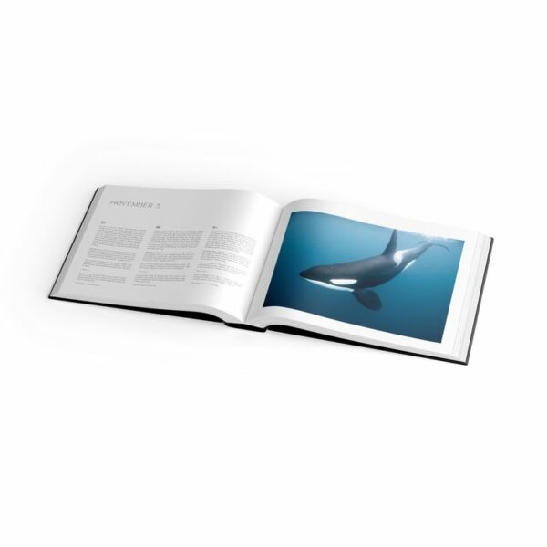 Livre ØRCAS, un livre photo sur les orques