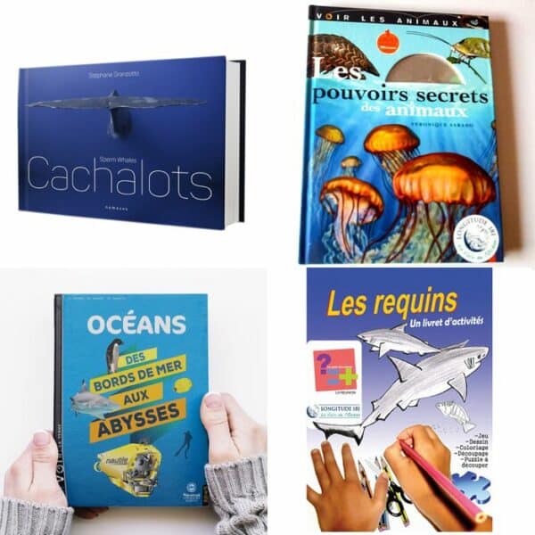Promotion : Livre "Les Cachalots" + offerts : "Les pouvoirs secrets des animaux" + "Océans Des bords de mer aux abysses" & Livret d’activités "Les Requins"