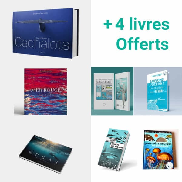 Promotion spéciale livres par Longitude 181 - 3 achetés, 4 offerts