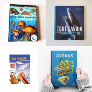 Offre exclusive pour ce lot découverte : 4 livres sur la mer et les animaux marins