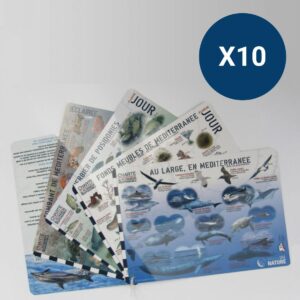 Lot de 10 Sea Fiches Méditerranée - Offre spéciale